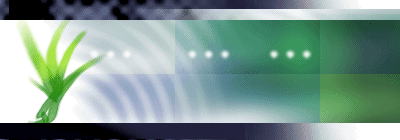 EEE@@@EEE@@EEE @